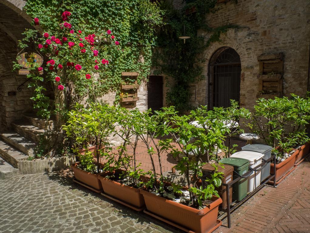 Appartamenti Turistici Vicolo S. Chiara Sassoferrato 外观 照片